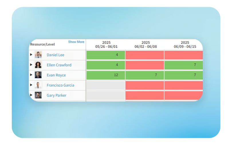 Deltek Vantagepoint project planning