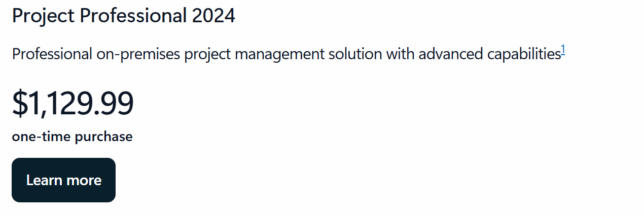 Project Professional 2024