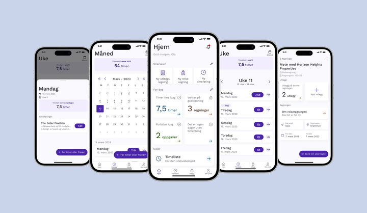 Mobile app, Milient Project Flow